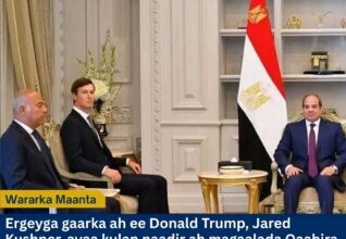 Kushner oo Hamas la galay wada-hadallo xasaasi ah si loo soo nooleeyo qorshaha nabadda Gaza