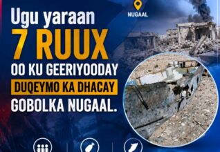 DEGDEG: Duqeyn Culus oo Ka Dhacday Xeebaha Nugaal, Dadna Lagu Dilay