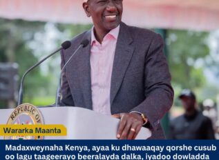 Ruto oo 50% Dhimaya Qiimaha Abuurka Galleyda, Bacrimintana Hoos u Dhigaya