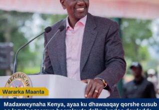 Ruto oo 50% Dhimaya Qiimaha Abuurka Galleyda, Bacrimintana Hoos u Dhigaya