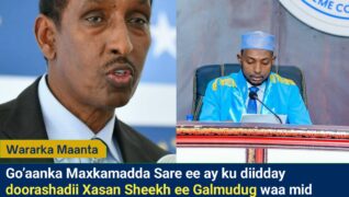 Axmed Ciise Cawad oo Bogaadiyay Go’aanka Maxkamadda Sare ee Laashay Doorashadii Galmudug