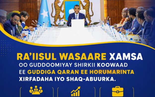 Ra’iisul Wasaare Xamse oo Guddoomiyay Shirkii Koowaad ee Guddiga Qaran ee Horumarinta Xirfadaha iyo Shaqo-abuurka