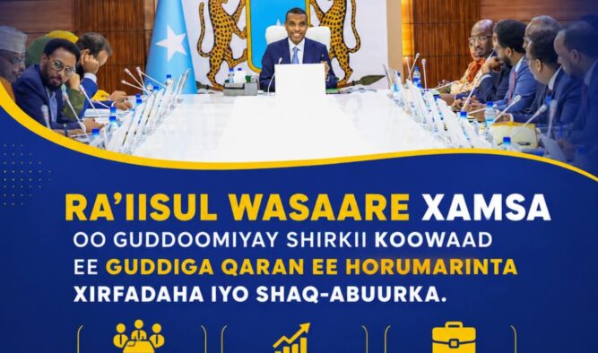 Ra’iisul Wasaare Xamse oo Guddoomiyay Shirkii Koowaad ee Guddiga Qaran ee Horumarinta Xirfadaha iyo Shaqo-abuurka