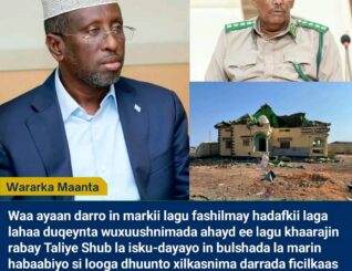 Sheekh Shariif oo Dowladda Soomaaliya ku eedeeyay inay bulshada ka marin-habinayso weerarkii Taliye Shub