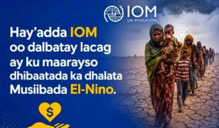 IOM oo Dalbatay $110 Milyan oo Doollar oo Loogu Diyaargaroobayo Khatarta El-Nino ee Afrika