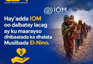 IOM oo Dalbatay $110 Milyan oo Doollar oo Loogu Diyaargaroobayo Khatarta El-Nino ee Afrika
