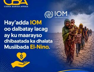 IOM oo Dalbatay $110 Milyan oo Doollar oo Loogu Diyaargaroobayo Khatarta El-Nino ee Afrika