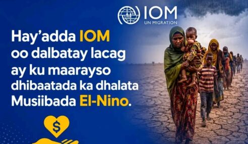 IOM oo Dalbatay $110 Milyan oo Doollar oo Loogu Diyaargaroobayo Khatarta El-Nino ee Afrika