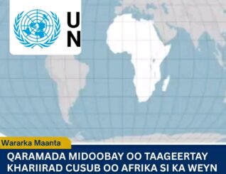 Qaramada Midoobay oo Taageertay Adeegsiga Khariidadda Equal Earth