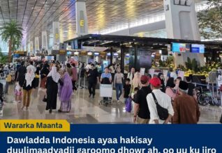 Qaraxa Foolkaanaha Anak Krakatau oo Hakiyey 301 Duulimaad oo Indonesia ah