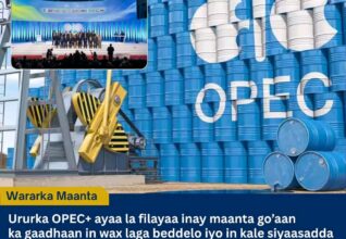 OPEC+ oo Maanta Go’aan ka Gaadhaya Siyaasadda Wax-soo-saarka Shidaalka ee Oktoobar