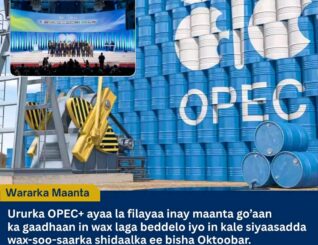 OPEC+ oo Maanta Go’aan ka Gaadhaya Siyaasadda Wax-soo-saarka Shidaalka ee Oktoobar