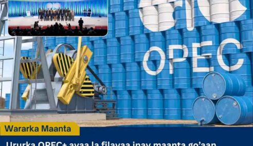 OPEC+ oo Maanta Go’aan ka Gaadhaya Siyaasadda Wax-soo-saarka Shidaalka ee Oktoobar