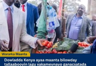 Kenya oo Xaddidaysa Ganacsiyada Yaryar ee Ajaanibta, Muwaadiniintana Mudnaan siinaysa