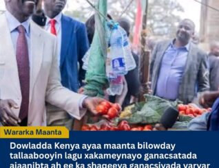 Kenya oo Xaddidaysa Ganacsiyada Yaryar ee Ajaanibta, Muwaadiniintana Mudnaan siinaysa