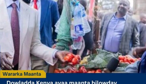 Kenya oo Xaddidaysa Ganacsiyada Yaryar ee Ajaanibta, Muwaadiniintana Mudnaan siinaysa