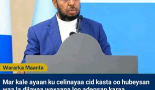 Sheekh Cali Wajiis Oo Mar Kale Ku Baaqay In Dowladda Federaalka Loo Adeegsado Hub Culus Iyo Duqeymo Diyaaradeed