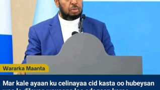 Sheekh Cali Wajiis Oo Mar Kale Ku Baaqay In Dowladda Federaalka Loo Adeegsado Hub Culus Iyo Duqeymo Diyaaradeed