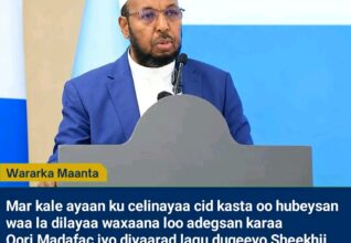Sheekh Cali Wajiis Oo Mar Kale Ku Baaqay In Dowladda Federaalka Loo Adeegsado Hub Culus Iyo Duqeymo Diyaaradeed