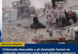 Ciidamada Dowladda Yemen oo Rogaal-celis Ka Bilaabay Xuutiyiinta, Iyagoo Hiigsanaya Qabsashada Sanca