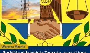 Guddida Tamarta Somaliland oo Burisay Korodhka Qiimaha Korontada ee Shirkaduhu Ku Dhawaaqeen