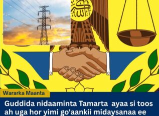 Guddida Tamarta Somaliland oo Burisay Korodhka Qiimaha Korontada ee Shirkaduhu Ku Dhawaaqeen