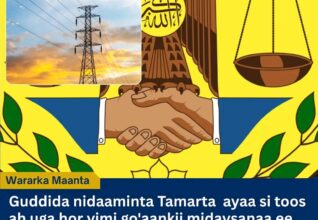 Guddida Tamarta Somaliland oo Burisay Korodhka Qiimaha Korontada ee Shirkaduhu Ku Dhawaaqeen