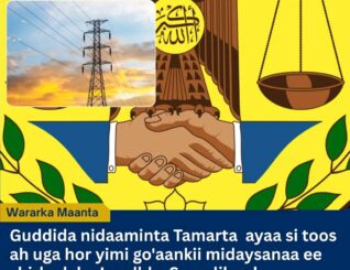 Guddida Tamarta Somaliland oo Burisay Korodhka Qiimaha Korontada ee Shirkaduhu Ku Dhawaaqeen