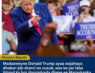Trump oo Wajahaya Dhabar-jab Sharci, Maxkamadda Sare oo Diidday Xeerarka Codbixinta Boostada