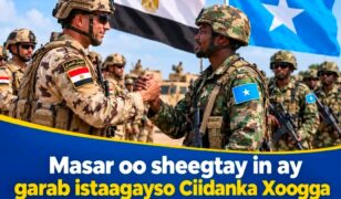 Masar oo Diiradda Saaraysa Xoojinta Ciidamada Militariga Soomaaliya