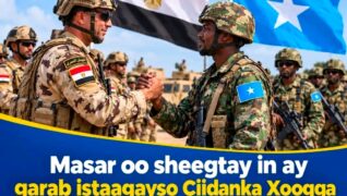 Masar oo Diiradda Saaraysa Xoojinta Ciidamada Militariga Soomaaliya