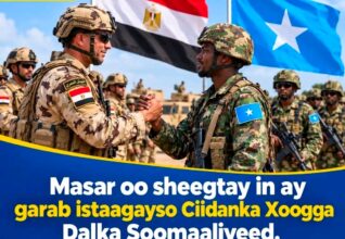 Masar oo Diiradda Saaraysa Xoojinta Ciidamada Militariga Soomaaliya