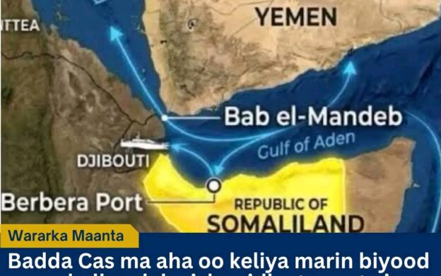 Macron iyo Trump oo ka wada hadlay amniga Badda Cas iyo dagaalka Ukraine