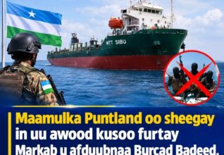 Puntland oo Howlgal Ku Soo Furtay Markab ay Burcad-badeeddu Ku Haysteen Xeebaha Bari