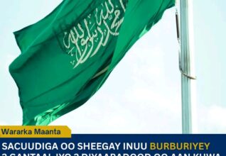 Sacuudiga oo sheegay inuu burburiyey laba gantaal ballistic ah iyo laba drone oo ku wajahnaa dhulkiisa