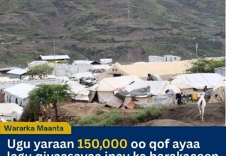 Dagaallada Canfarta iyo Tigrayga oo Barakiciyey 150,000 Qof, Walaacna laga Qabo Heshiiskii Pretoria