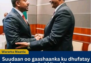 Suudaan oo si adag u beenisay eedaymo Itoobiya uga timid oo ku saabsan taageerada kooxaha hubaysan