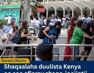 Shaqaalaha Duulista Kenya oo Soo Afjaray Shaqo-joojin Laba Maalmood Socotay