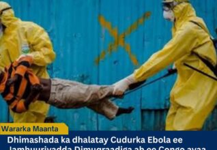 Dillaaca Ebola ee Congo oo galaaftay nolosha in ka badan 3,000 qof