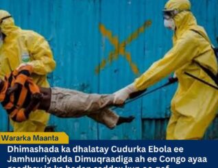 Dillaaca Ebola ee Congo oo galaaftay nolosha in ka badan 3,000 qof
