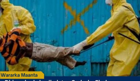 Dillaaca Ebola ee Congo oo galaaftay nolosha in ka badan 3,000 qof