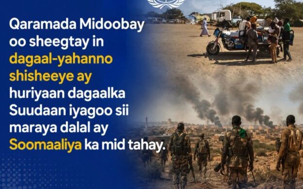 Qaramada Midoobay: Hubka Shisheeye iyo Diyaaradaha Drones-ka oo Sii Huriyay Colaadda Suudaan