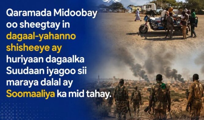 Qaramada Midoobay: Hubka Shisheeye iyo Diyaaradaha Drones-ka oo Sii Huriyay Colaadda Suudaan