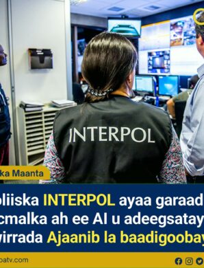 INTERPOL oo AI u adeegsatay Raadinta 126 Qof oo Dalal Kala Duwan Lagu Baadi-goobayay