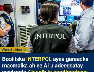 INTERPOL oo AI u adeegsatay Raadinta 126 Qof oo Dalal Kala Duwan Lagu Baadi-goobayay