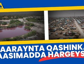 Hargeysa: Halista goobta qashinka iyo raadinta xal waara.