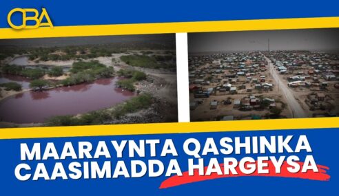 Hargeysa: Halista goobta qashinka iyo raadinta xal waara.