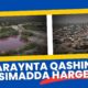 Hargeysa: Halista goobta qashinka iyo raadinta xal waara.