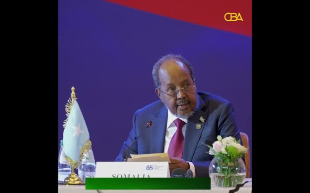 The President of the Federal Republic of Somalia, His Excellency Hassan Sheikh Mohamud, participated in…